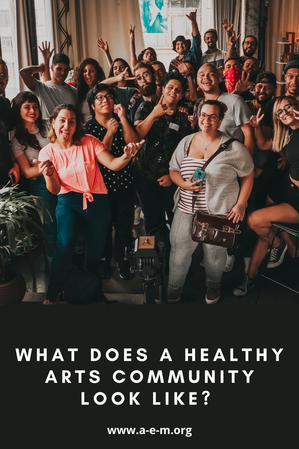 what does a healthy arts community look like