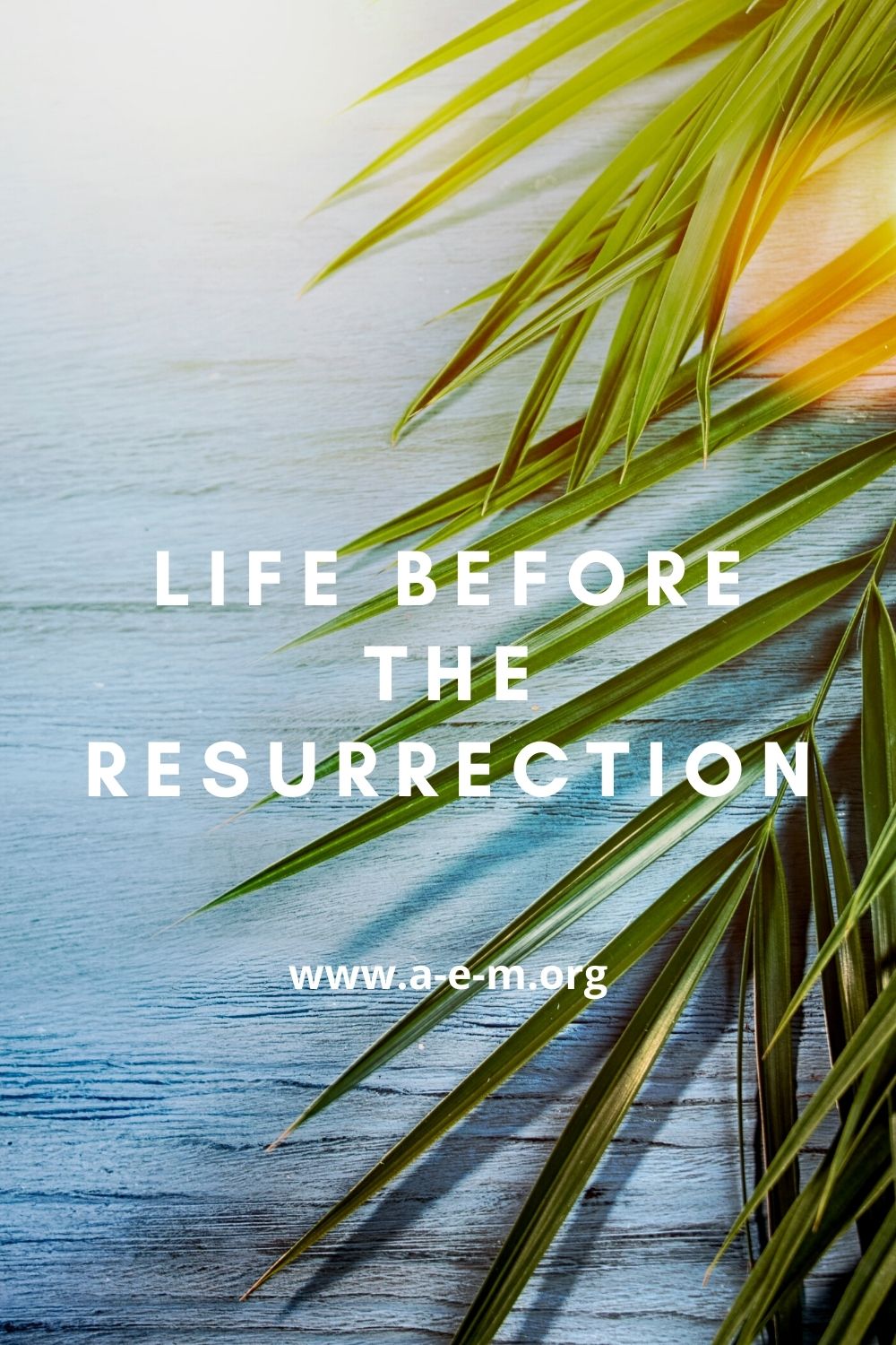 life before the resurrection