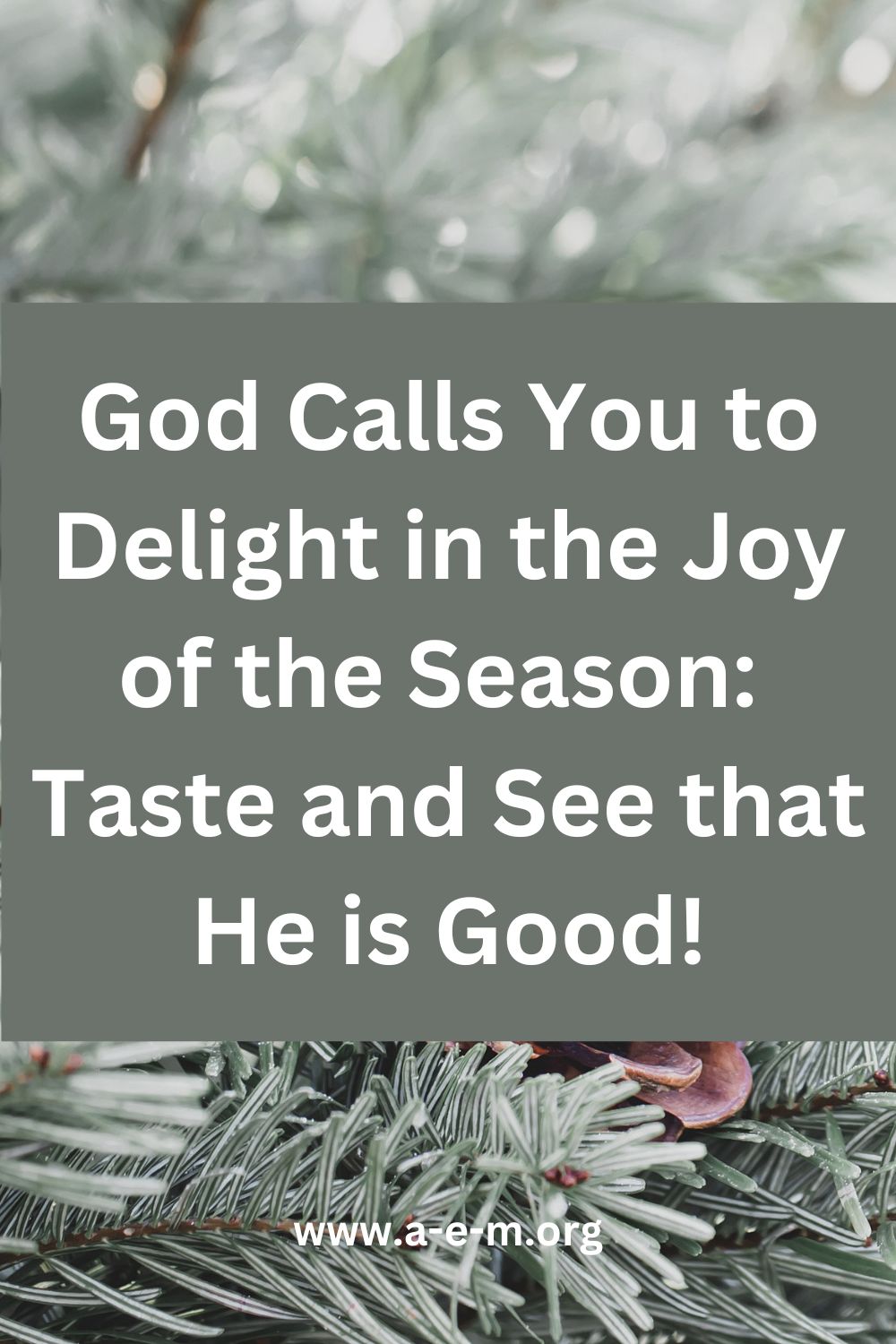 god calls you to delight in the joy of the season